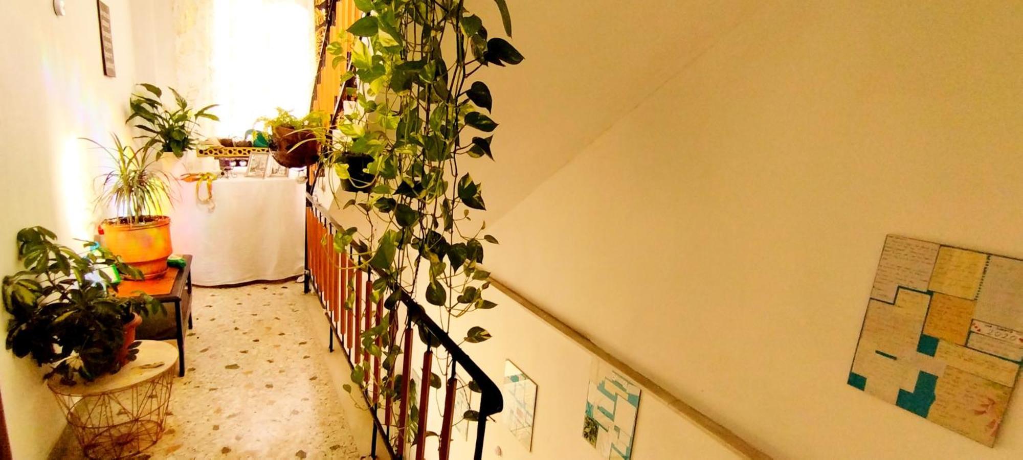 Cozy Room In Quiet Neighbourhood Афины Экстерьер фото