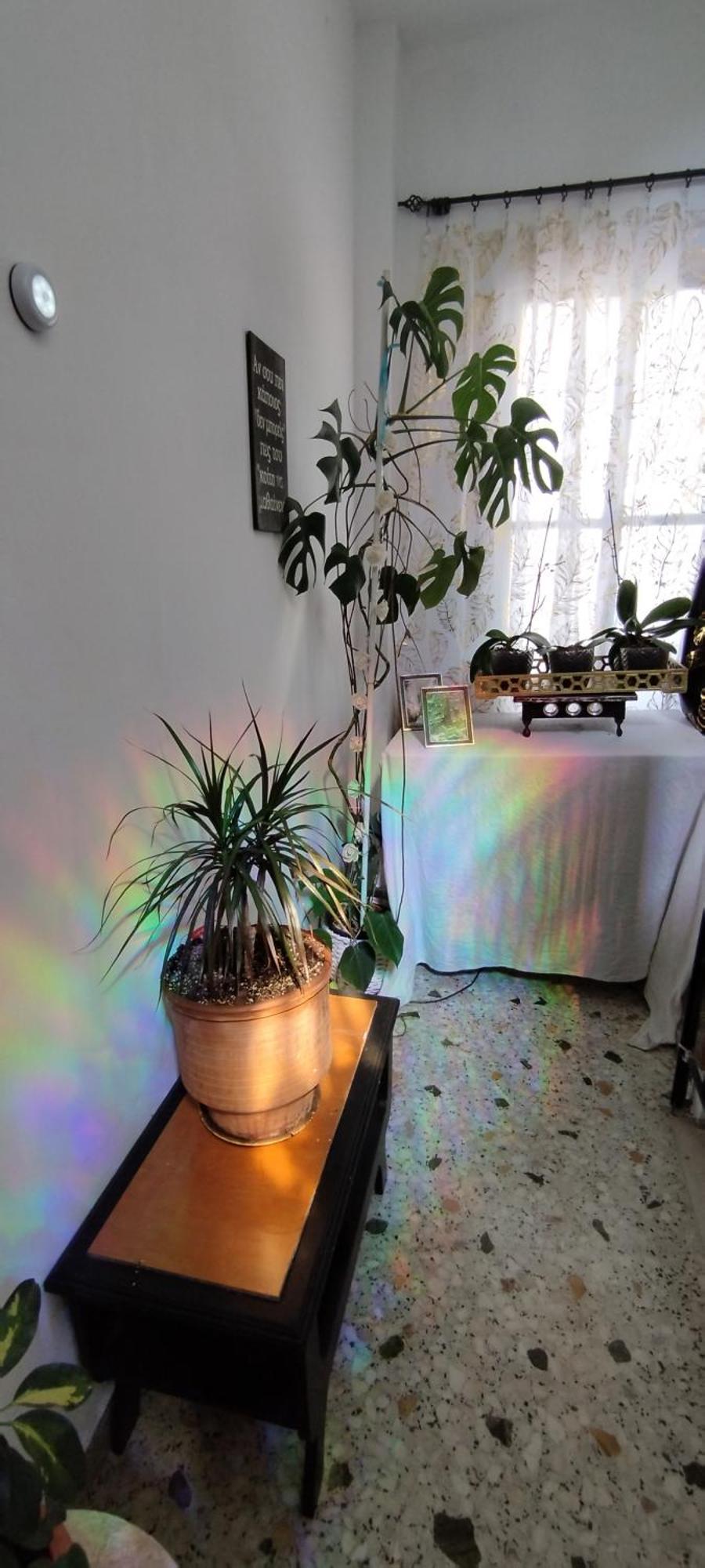 Cozy Room In Quiet Neighbourhood Афины Экстерьер фото
